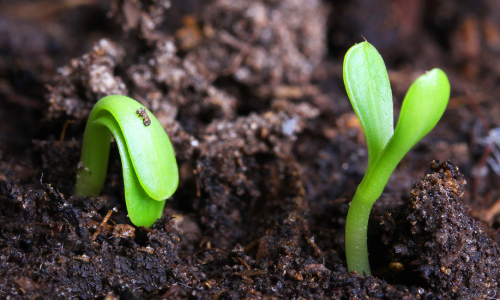 CgAGbGl2yK6AVyWqABB_citM588225