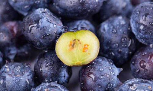 phytochemicals-2