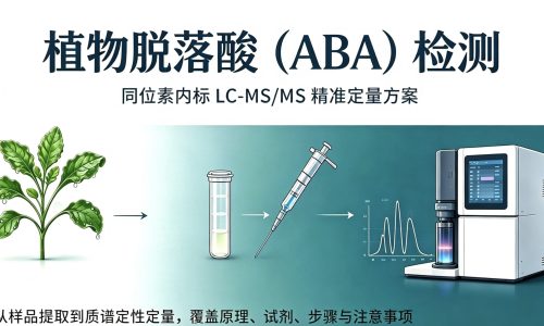 网10